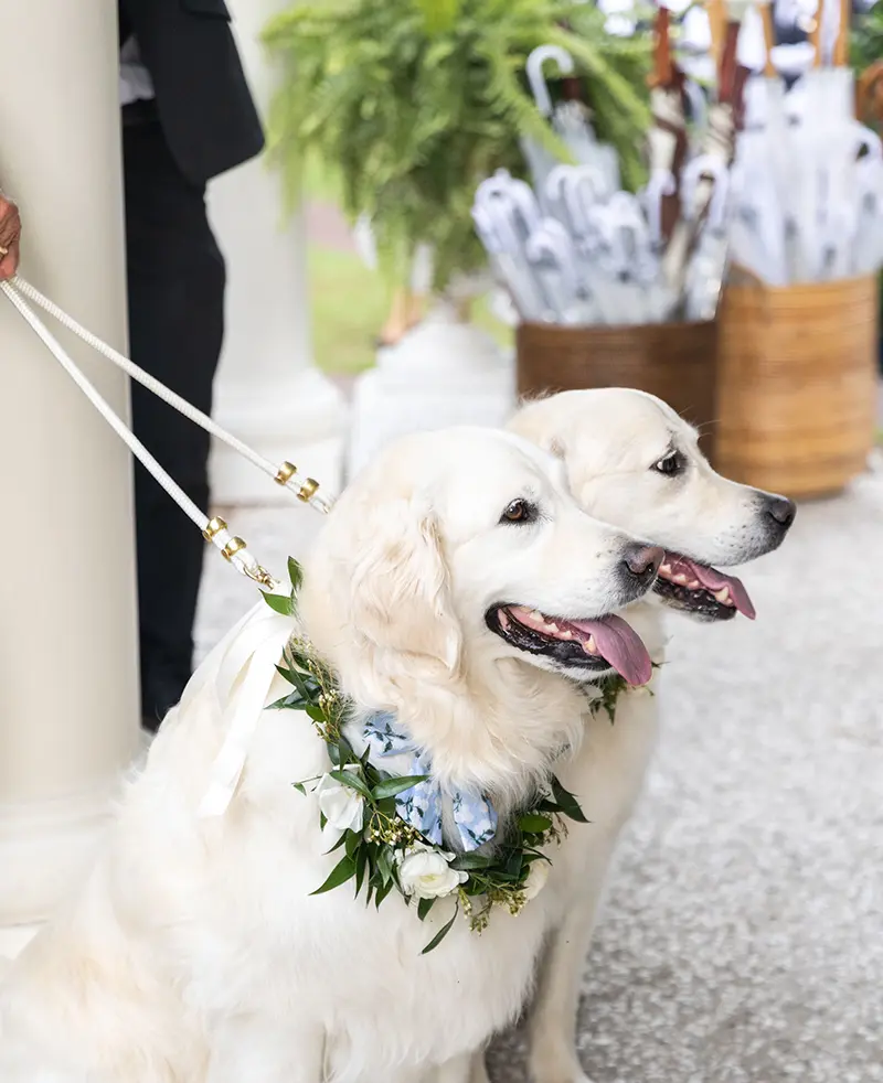 0633 07 12 25 Drakewedding (1)