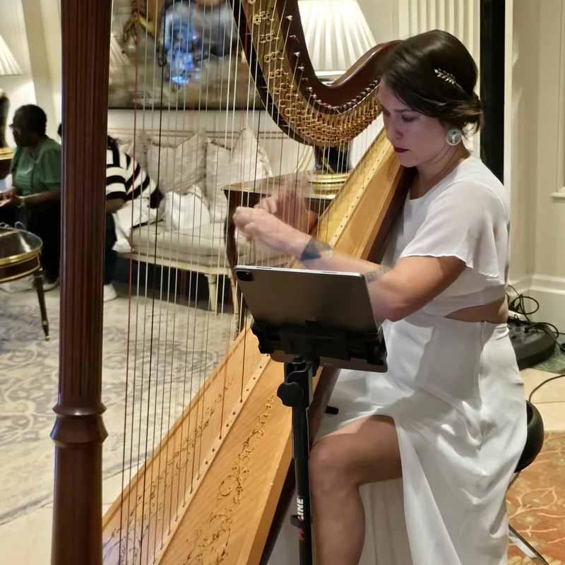 The Tattooed Harpist The Tattooed Harpist